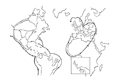 Map of the World, David Boller