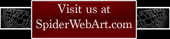 Visit us at www.spiderwebart.com