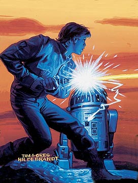 Luke Hones His Lightsaber Skills, Brothers Hildebrandt