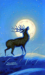 The Stag Omen, Brothers Hildebrandt