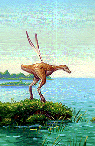 Episode I, Kaadu flap, Brothers Hildebrandt
