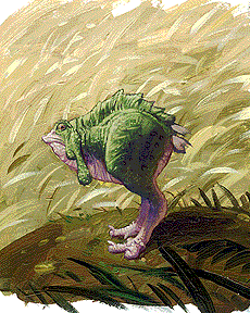 Episode I, Swamp Turkey, Brothers Hildebrandt