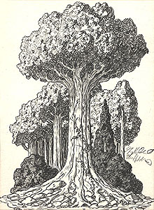 Elgans Trees, Brothers Hildebrandt