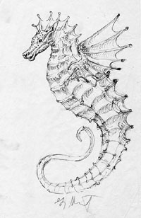 Seahorse sketch, Greg Hildebrandt