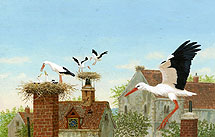 Wonderful Wild Animals -pgs 36-37, Brothers Hildebrandt