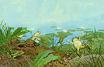 Wonderful Wild Animals - pgs 54-55, Brothers Hildebrandt