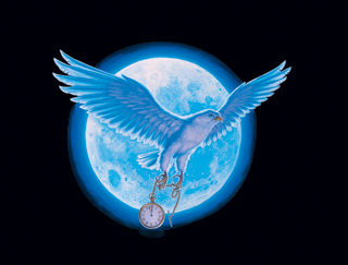 TSO 2007 - Cassandra the Falcon, Greg Hildebrandt