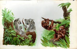 Wonderful Wild Amimals - Koalas and Sloths - Holt Reinhart and Winston Reader 1971, Brothers Hildebrandt