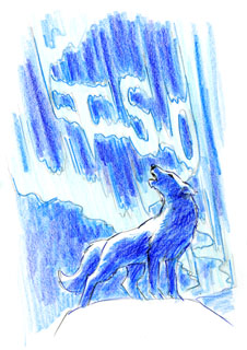 TSO 2009 Wolf #4, Greg Hildebrandt