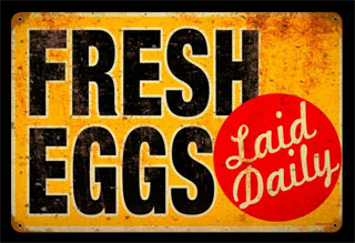 Eggs Laid Daily  RPC077- Vintage Tin Sign, PTS