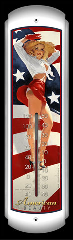 American Beauty - Thermometer, Greg Hildebrandt