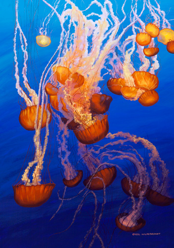 Jellyfish, Greg Hildebrandt
