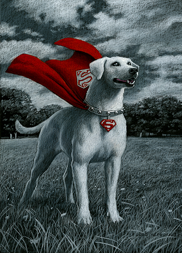 Krypto , Greg Hildebrandt